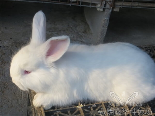 20220223025346780.jpg 20220223025346780.jpg