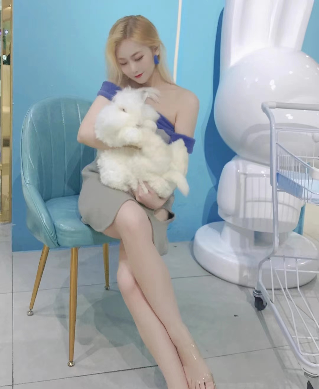 長毛兔的飼養(yǎng)流程必須要經過哪些？