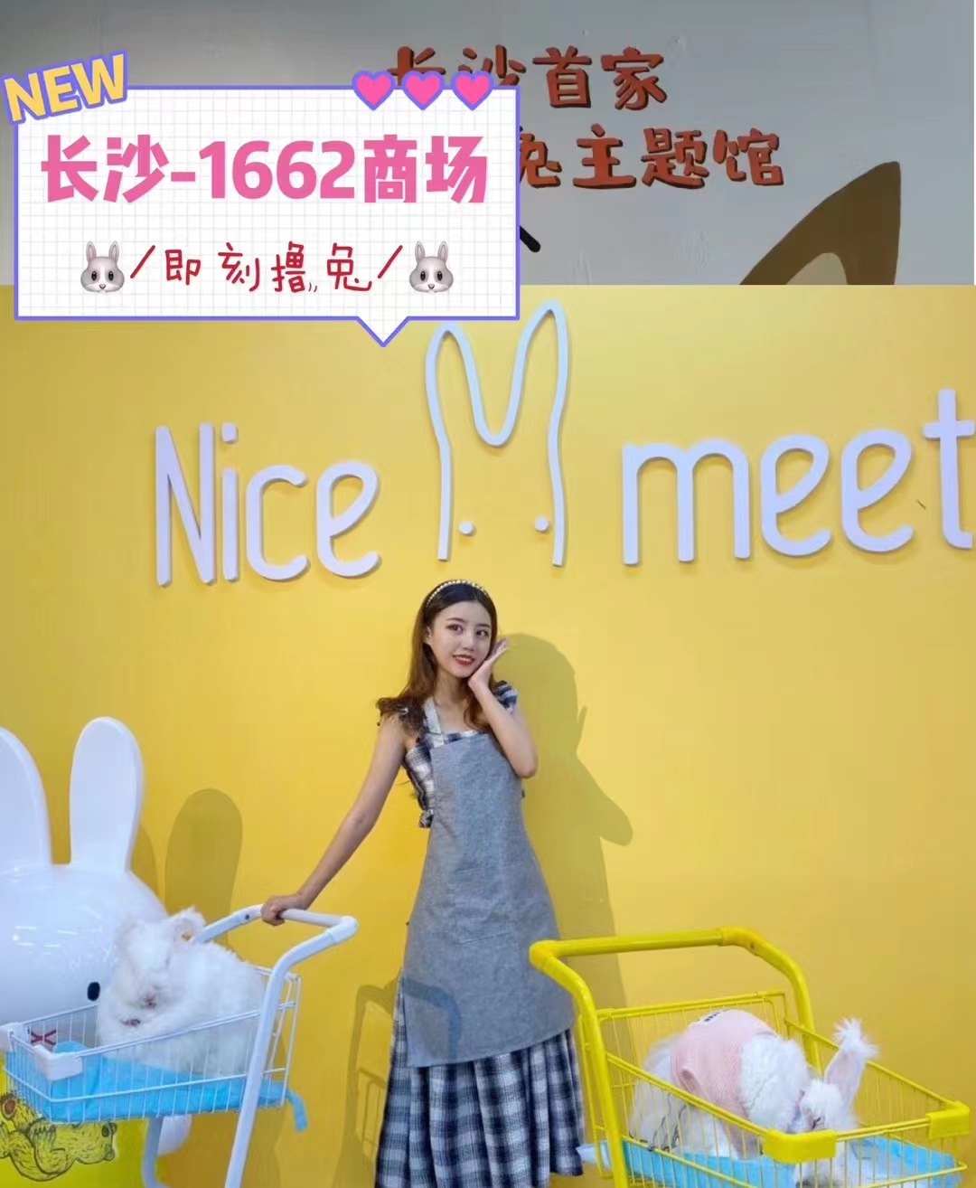 如何避免長毛兔品種退化？