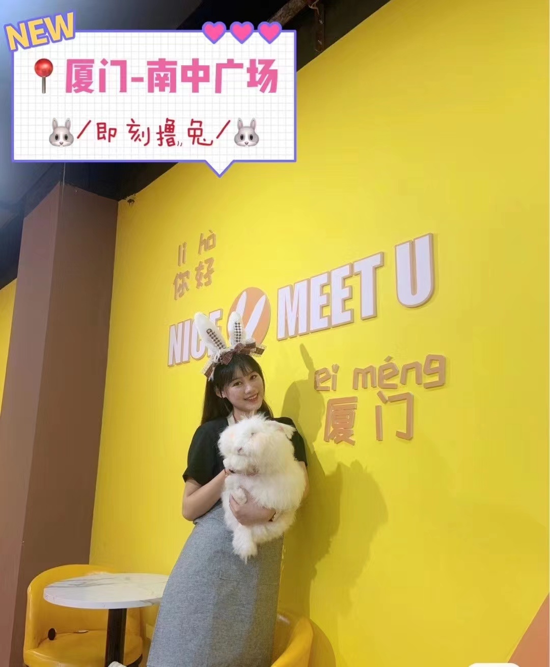 講解長毛兔科學(xué)采毛技巧