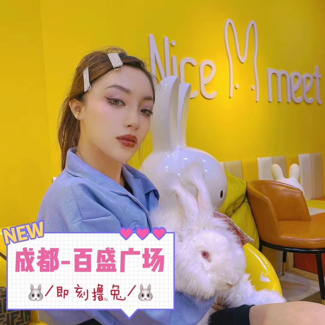 長毛兔的 “高冷人設”：拒絕抱抱背后的真相與破局指南